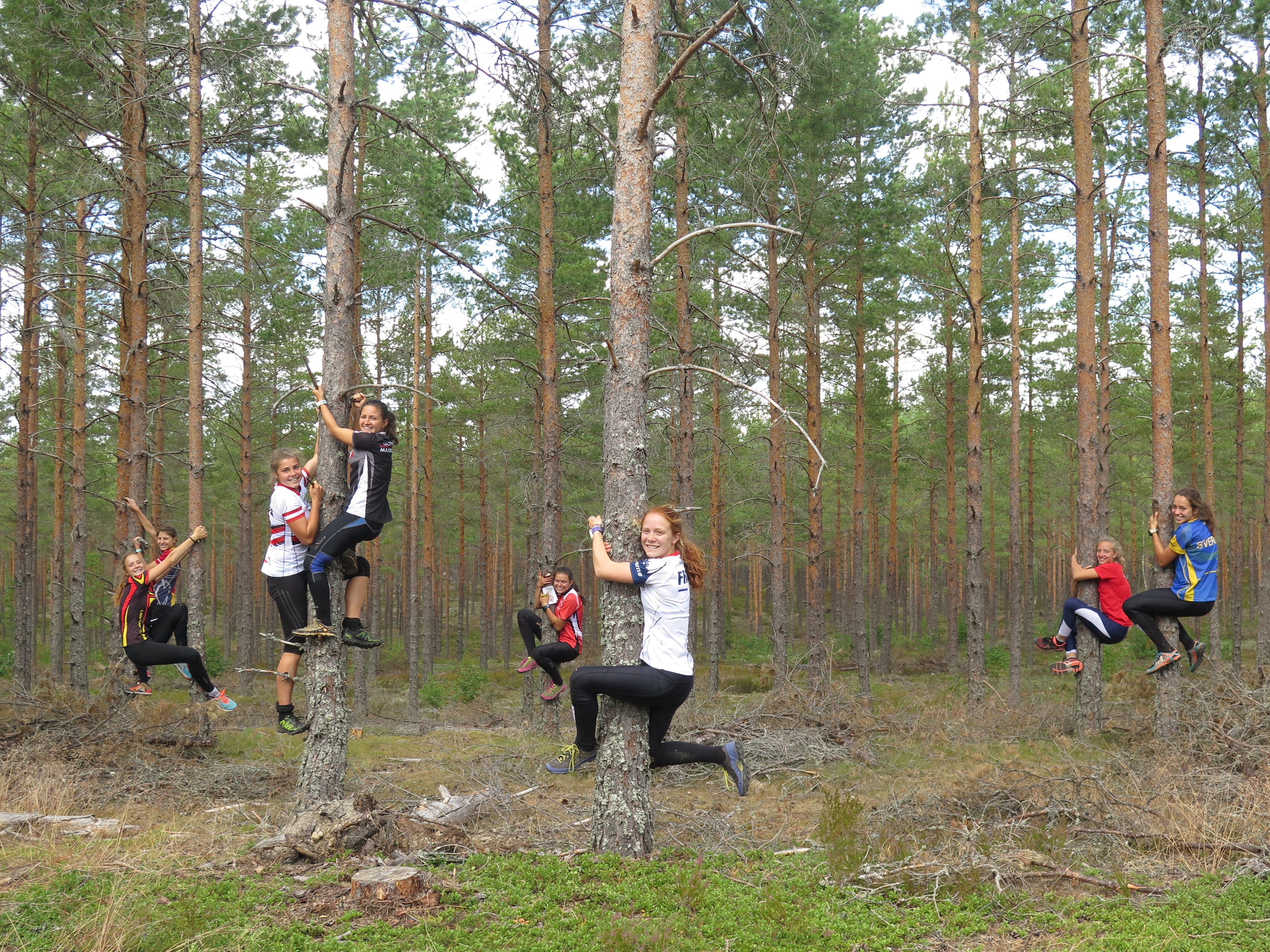 Gruppenbild auf Bäumen