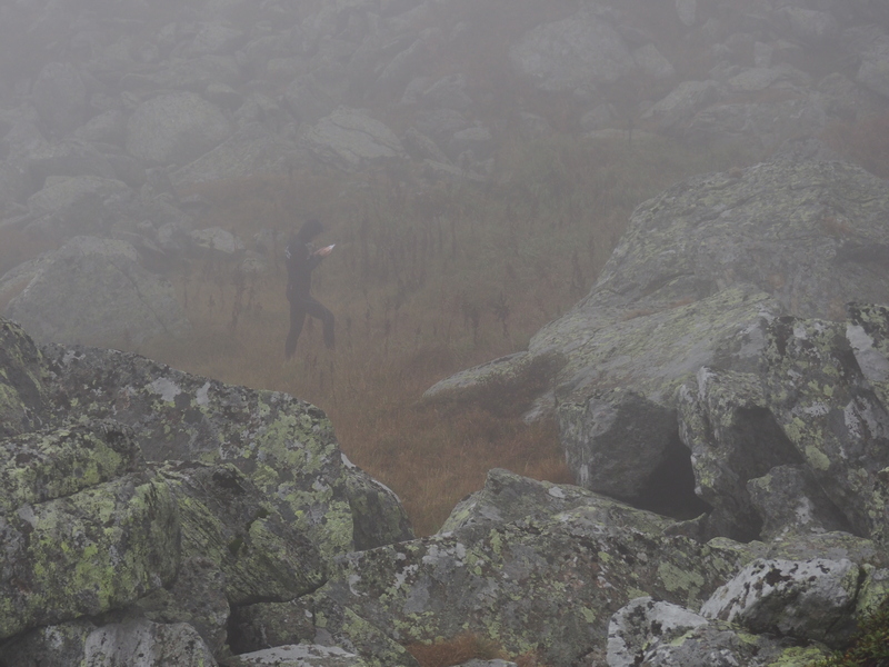 Kartenkontrolle Nebel