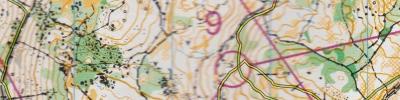 Alpe-Adria-Orienteering-Cup Long, WRE