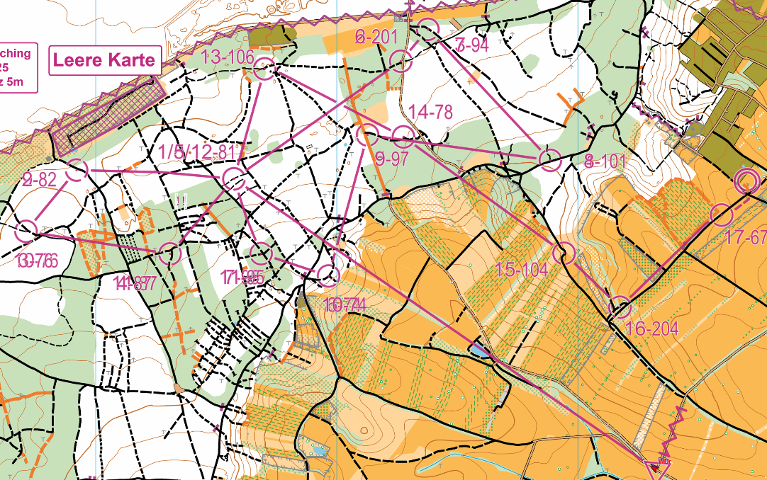 MTBO 2025 Massenstart H70
