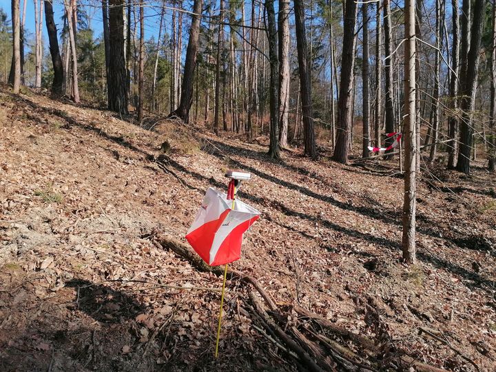 2023 03 Frühlingscup1