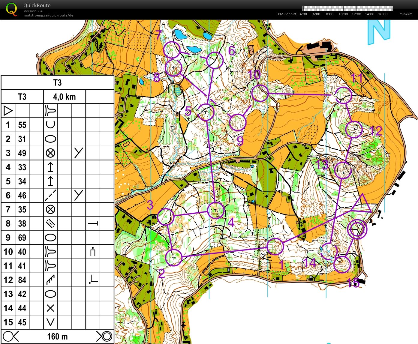 Training Mitteldistanz (2019-08-17)